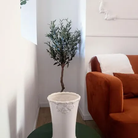 Le Chemin De L'olivier *