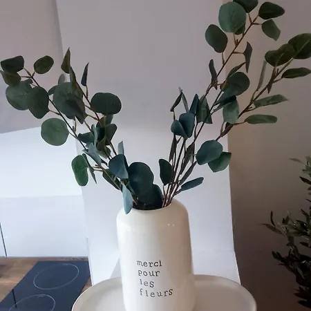 Le Chemin De L'olivier * Abbeville